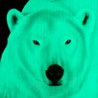 POLAR-BEAR-MILK-MINT POLAR BEAR ELECTRIC BLUE  Showroom - Inkjet on plexi, limited editions, numbered and signed. Wildlife painting Art and decoration. Click to select an image, organise your own set, order from the painter on line